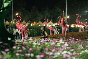 BIB: 
                            <button type="button" onclick="openModal(27337329)" class="btn btn-primary btn-sm float-right btn-popup" data-toggle="modal" data-target=".modal-high-quality">
                        <i class="fas fa-shopping-cart"></i> Add to Cart
                    </button>
                                            <button type="button" onclick="isThisMe(27337329, true)" class="btn btn-success btn-sm float-right btn-popup btn-isme hidden" data-toggle="tooltip" data-placement="bottom" title="นี่คือรูปของคุณใช่ไหม คลิกที่นี่เพื่อเอาเข้าอัลบั้ม">
                        <i class="fas fa-plus"></i> Add to album
                    </button>
                    <button type="button" onclick="isThisMe(27337329, false)" class="btn btn-warning btn-sm float-right btn-popup btn-isnotme hidden">
                        <i class="fas fa-ban"></i> Remove from album
                    </button>